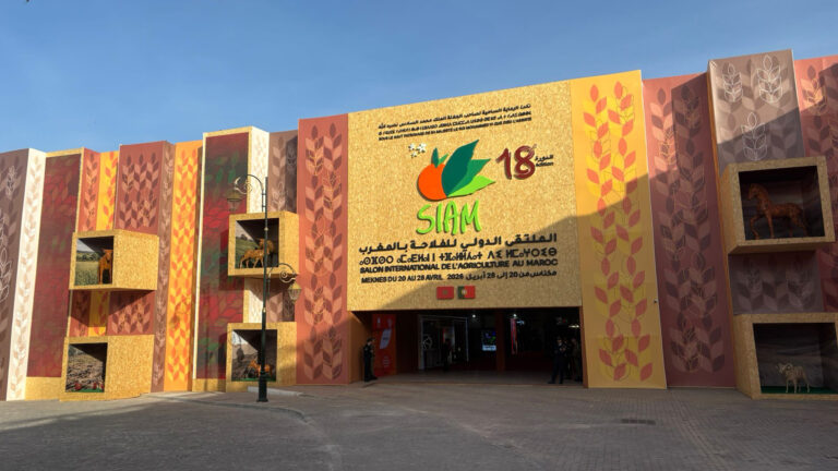 Siam 2026